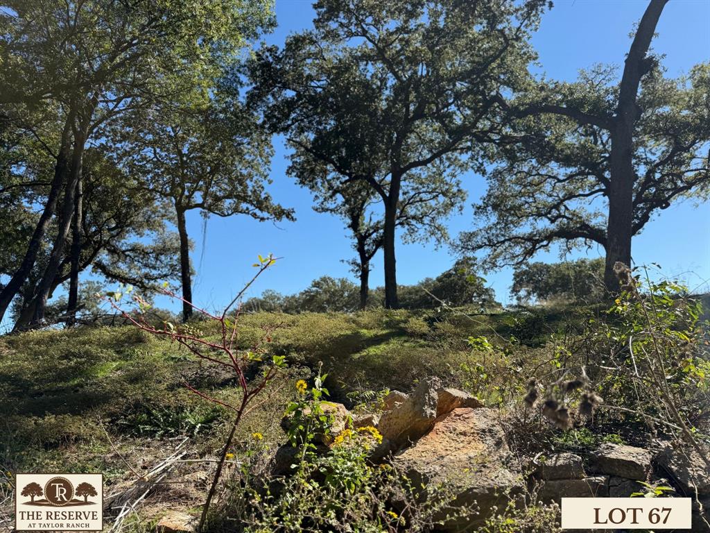 Lot 67 Camden Lane Springtown, TX 76082 - Photo 16 of 22 a view of a tree with a yard