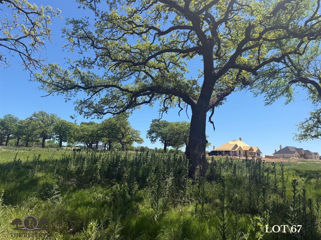 Lot 67 Camden Lane Springtown, TX 76082 - Photo 18 of 28 a view of a green yard