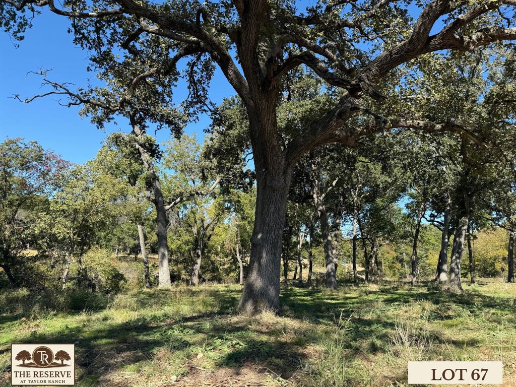 Lot 67 Camden Lane Springtown, TX 76082 - Photo 19 of 28 a view of outdoor space with trees