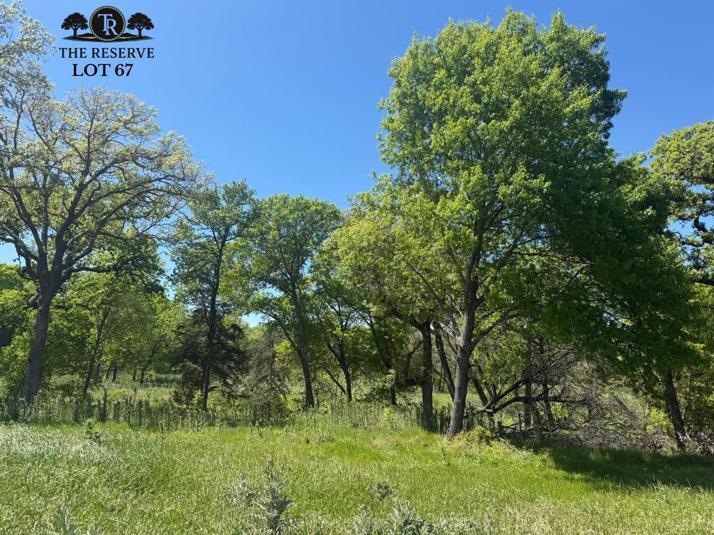 Lot 67 Camden Lane Springtown, TX 76082 - Photo 2 of 28 a view of a bunch of trees