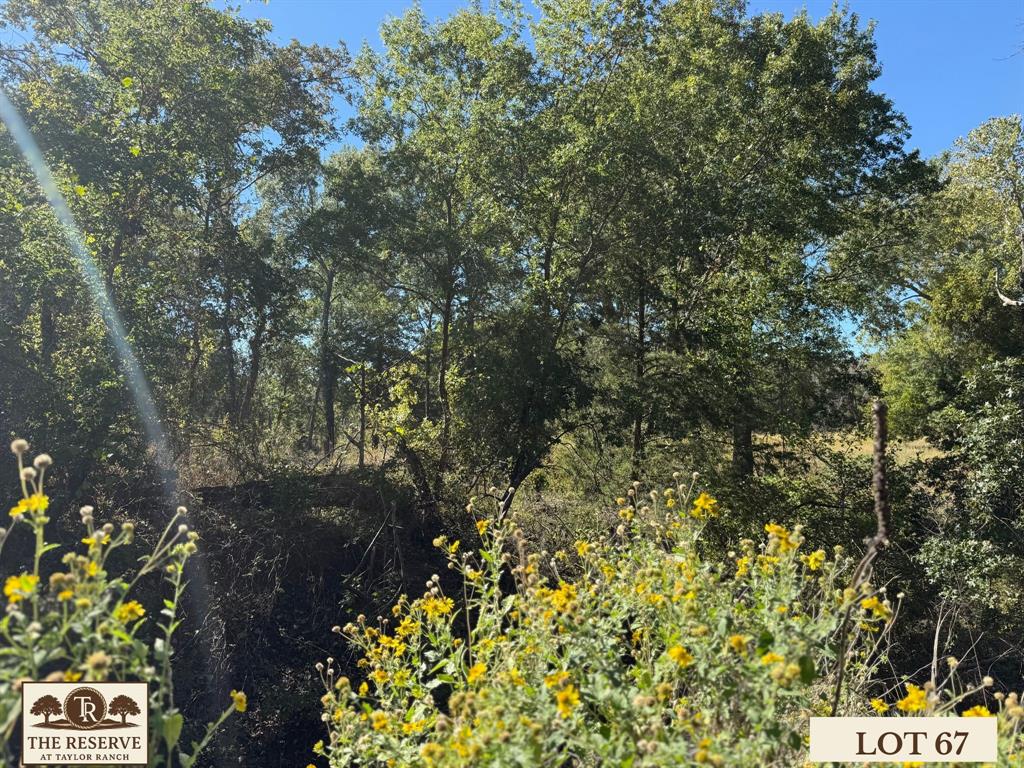 Lot 67 Camden Lane Springtown, TX 76082 - Photo 21 of 28 a view of a garden