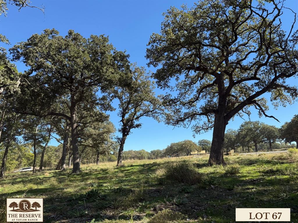 Lot 67 Camden Lane Springtown, TX 76082 - Photo 22 of 28 a view of lake view and mountain view
