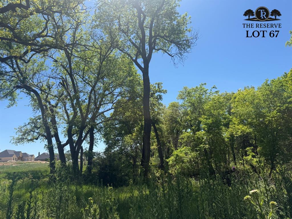Lot 67 Camden Lane Springtown, TX 76082 - Photo 3 of 28 a view of a lush green forest