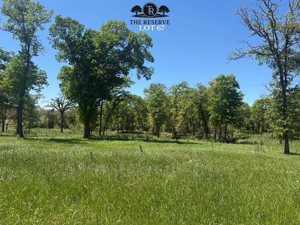 Lot 67 Camden Lane Springtown, TX 76082 - Photo 4 of 28 a view of a trees with a big yard