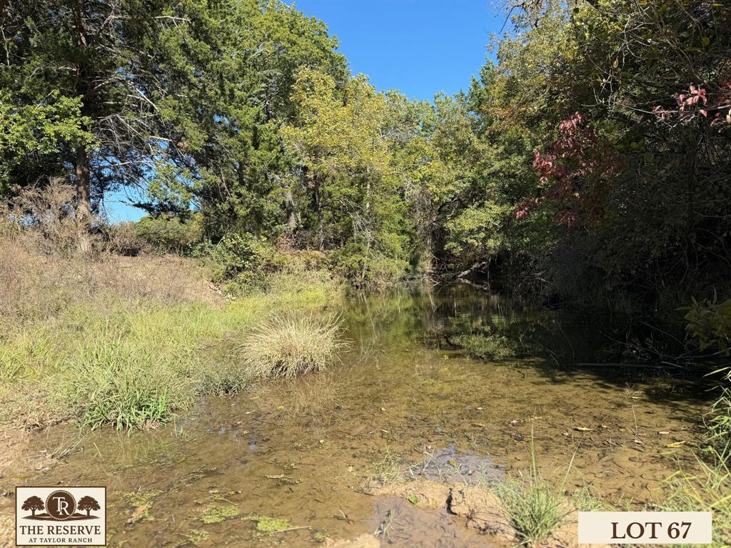 Lot 67 Camden Lane Springtown, TX 76082 - Photo 5 of 22 a view of a pathway both side of yard