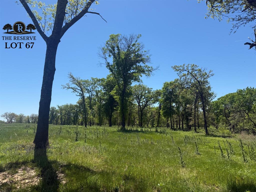Lot 67 Camden Lane Springtown, TX 76082 - Photo 5 of 28 a view of backyard with green space