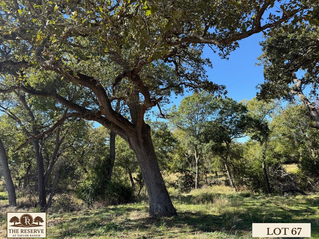 Lot 67 Camden Lane Springtown, TX 76082 - Photo 6 of 28 a view of a tree in a yard