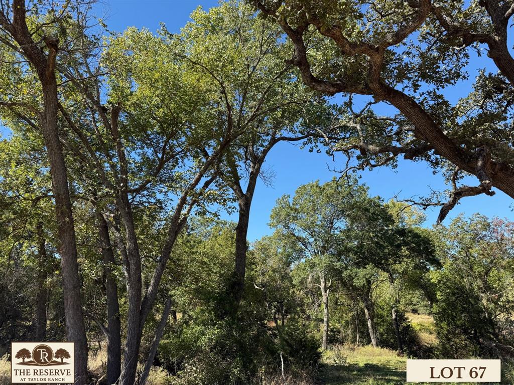 Lot 67 Camden Lane Springtown, TX 76082 - Photo 7 of 28 a view of a tree in a yard