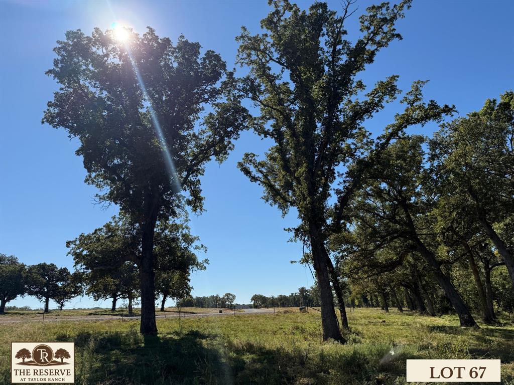 Lot 67 Camden Lane Springtown, TX 76082 - Photo 8 of 28 a view of a park