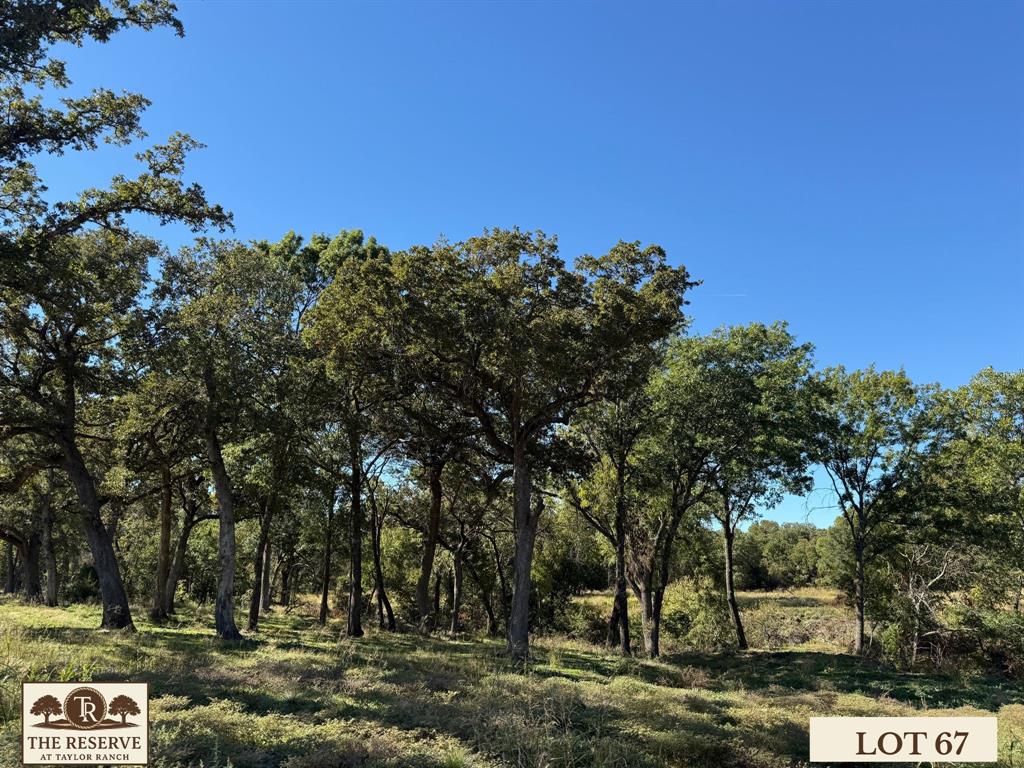 Lot 67 Camden Lane Springtown, TX 76082 - Photo 9 of 28 a view of a park with large trees