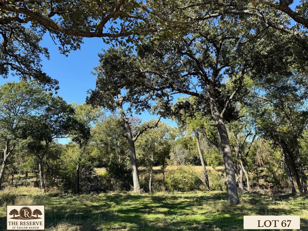 Lot 67 Camden Lane Springtown, TX 76082 - Photo 10 of 22 a view of a tree with a yard