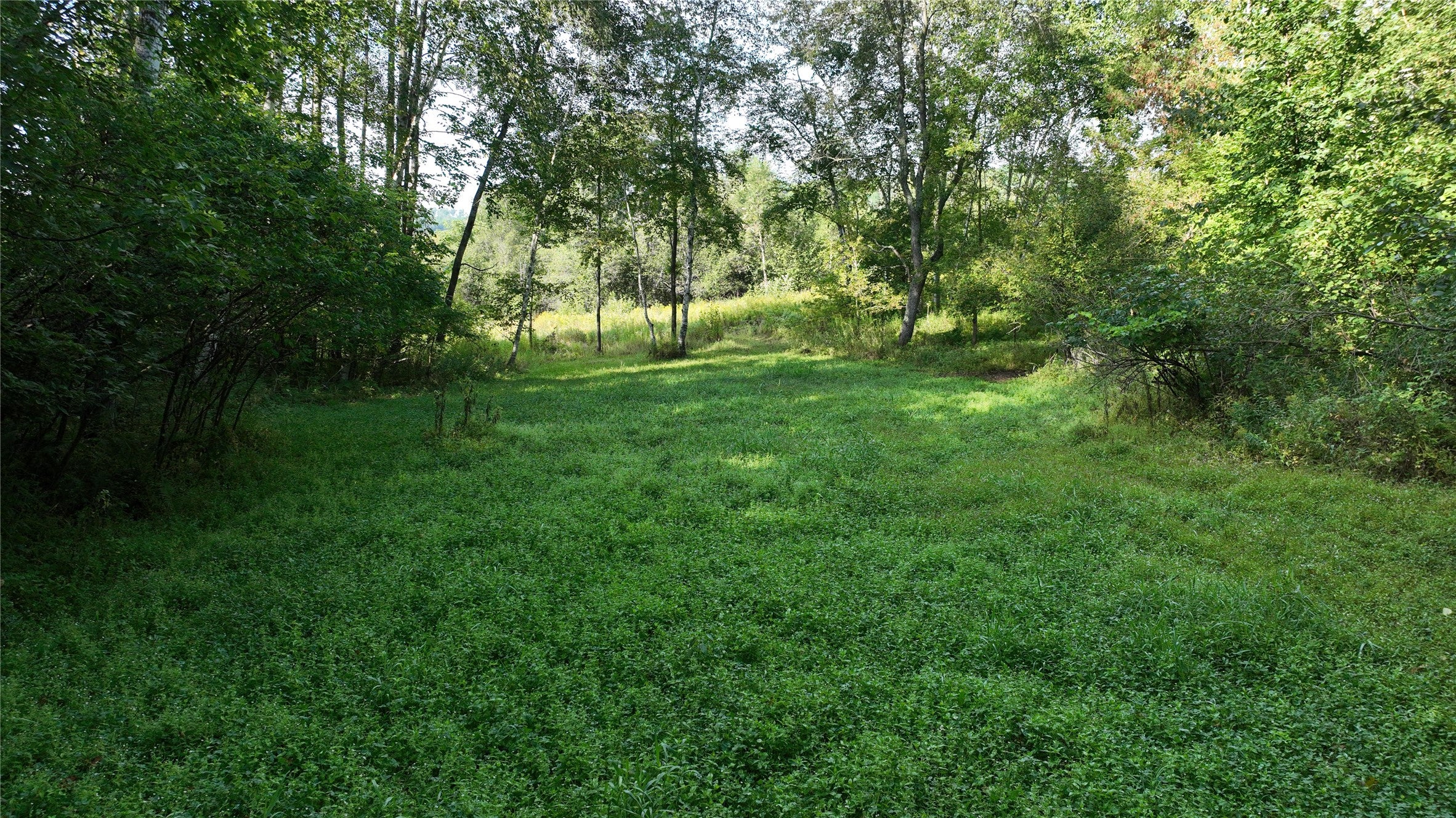 Xx County Rd O Boyceville, WI 54725 - Photo 16 of 36 Gallery Image 16