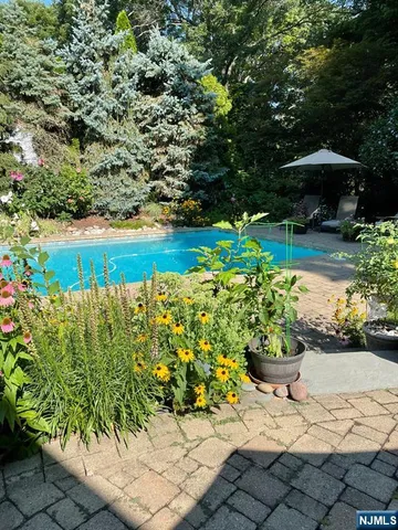 a view of a backyard