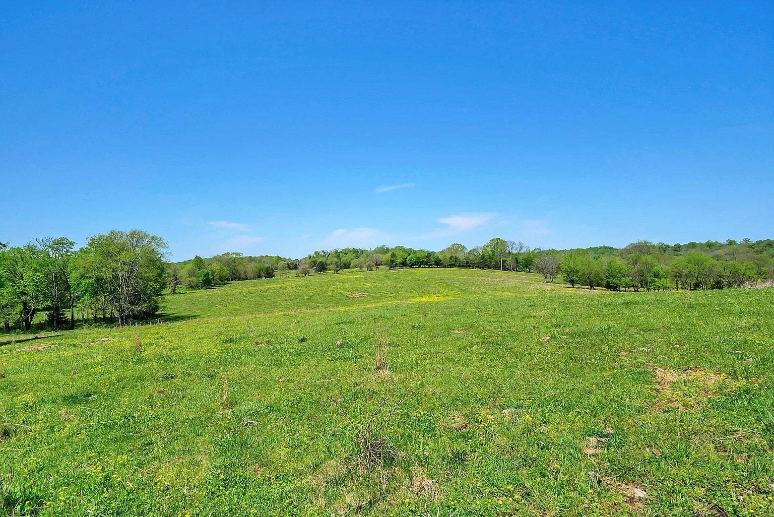 290 Gladdice Road Pleasant Shade, TN 37145 - Photo 16 of 41