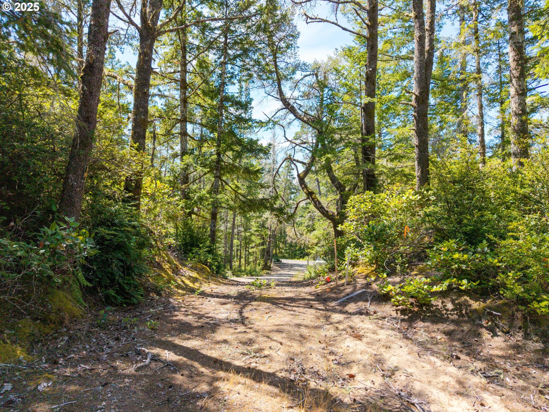 0 Derrick Road Cloverdale, OR 97112 - Photo 14 of 27 Gallery Image 14
