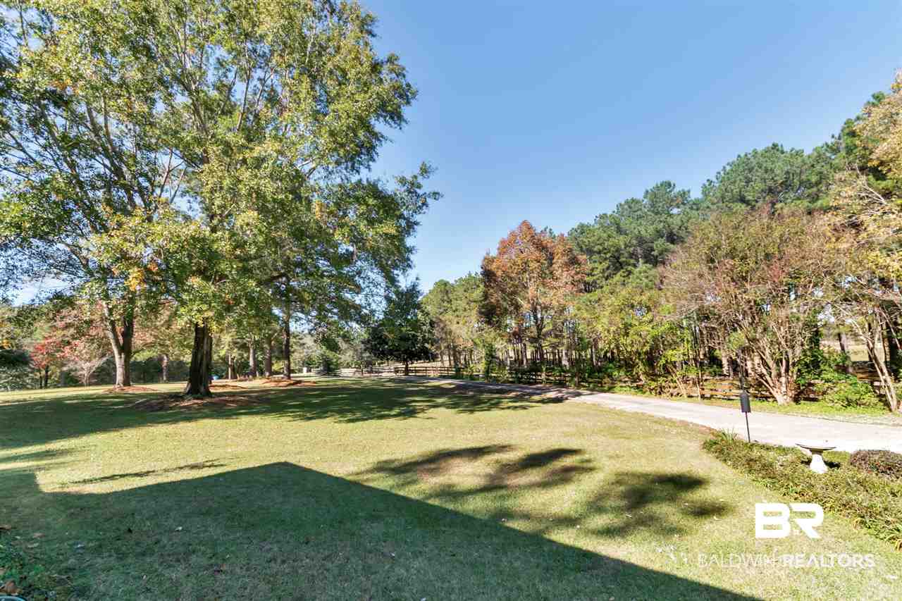 133 Allen Walker Road Grove Hill, AL 36451 - Photo 20 of 46 Side Yard