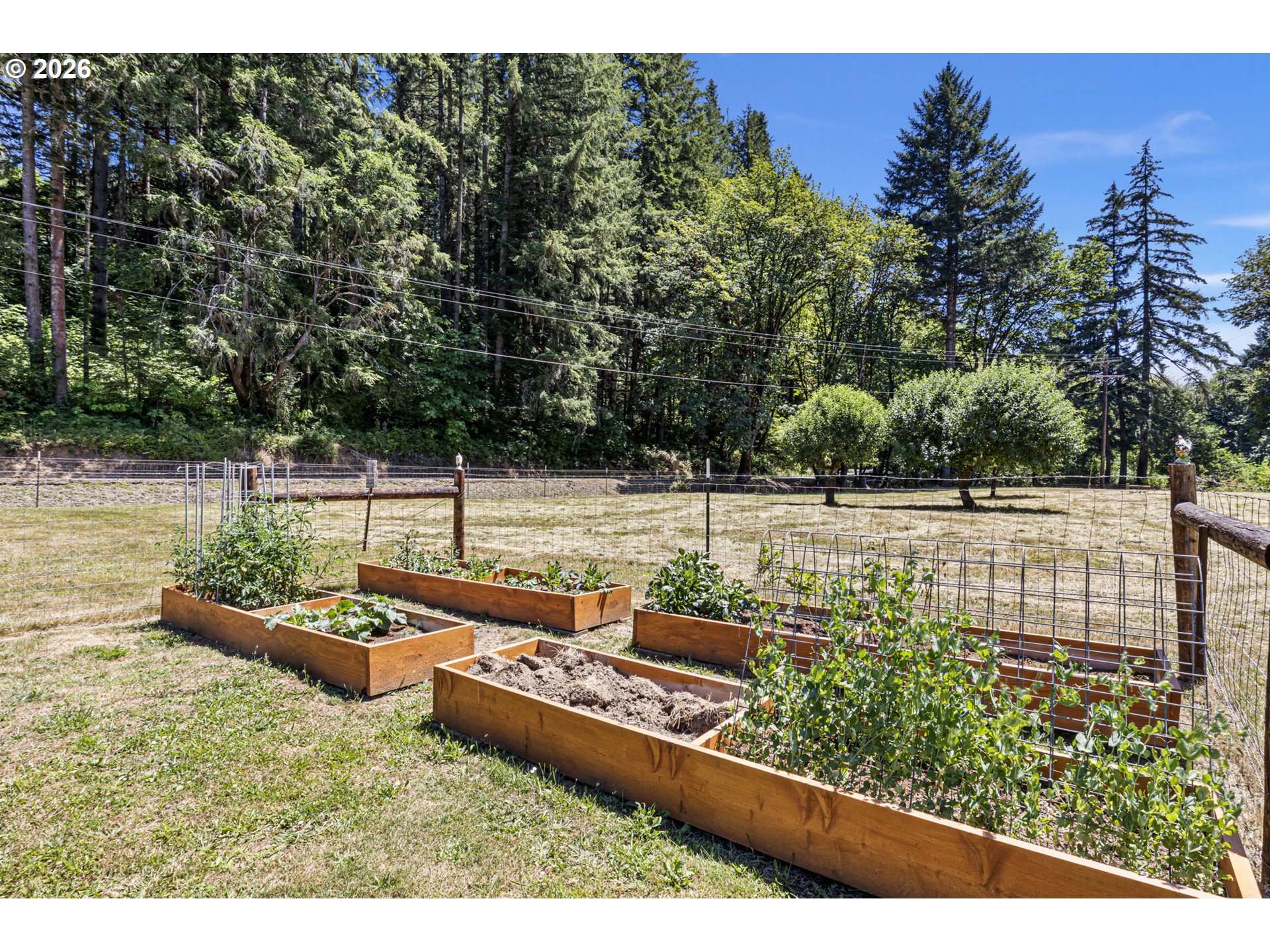 1462 Schad Road Elkton, OR 97436 - Photo 43 of 48 Garden