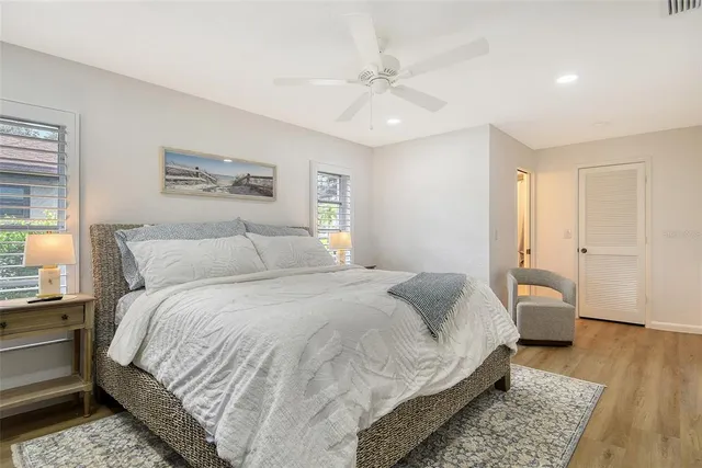 a view of a yard with a palm tree