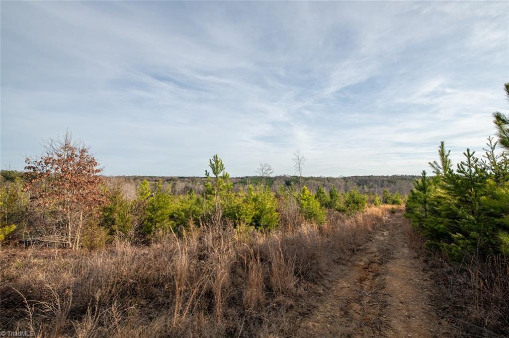0 R P R P Fuquay Road Yanceyville, NC 27379 - Photo 12 of 15 Gallery Image 12