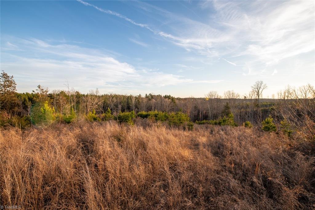 0 R P R P Fuquay Road Yanceyville, NC 27379 - Photo 3 of 15 Gallery Image 3