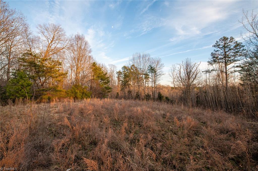 0 R P R P Fuquay Road Yanceyville, NC 27379 - Photo 5 of 15 Gallery Image 5