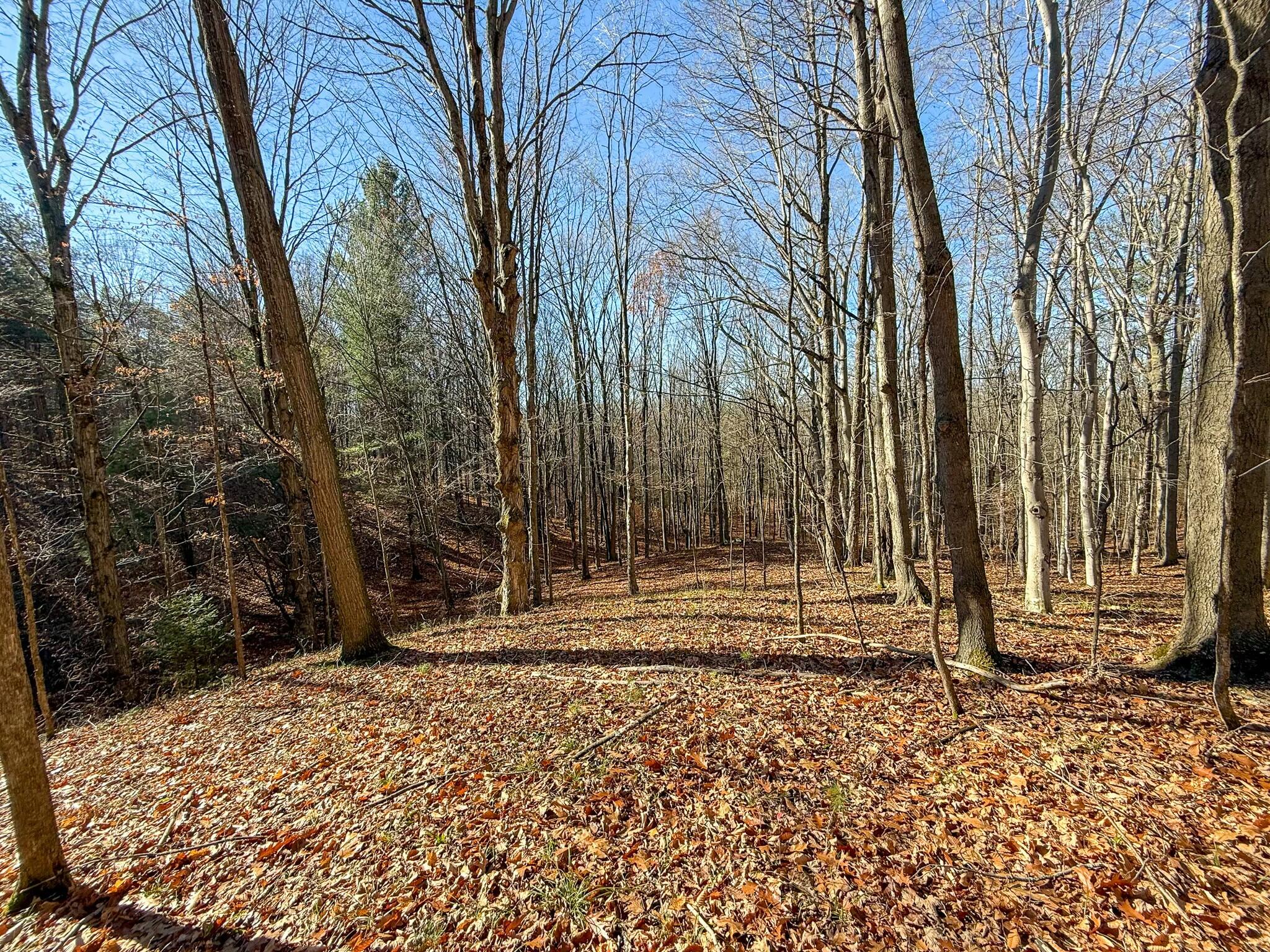 76 East 22 Road Manton, MI 49663 - Photo 54 of 60 tempImageNNi0M2