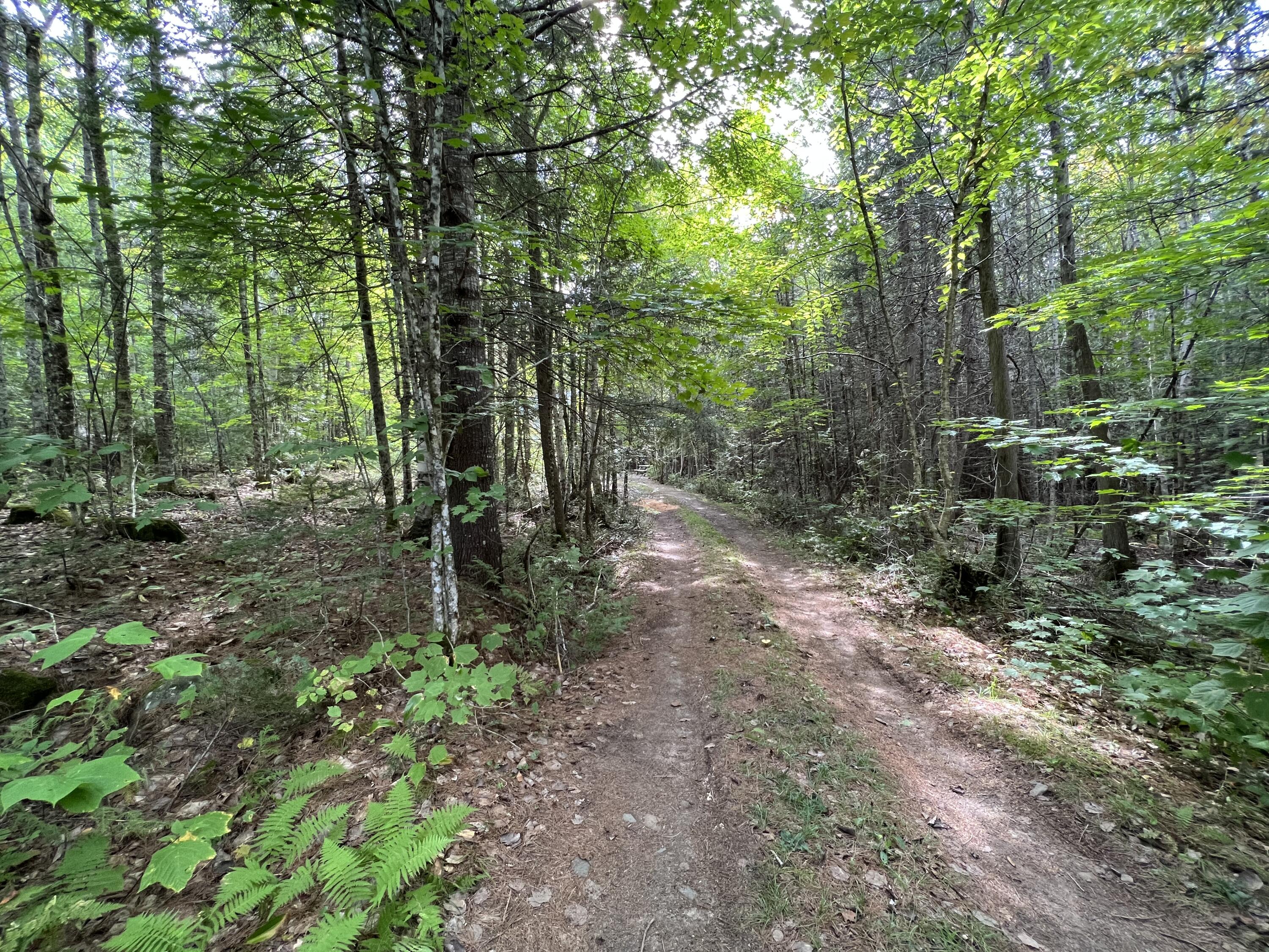 Off Mill Hill Road Springfield, ME 04487 - Photo 17 of 25 23732716-58BA-43C8-AE13-96913BB6F33A