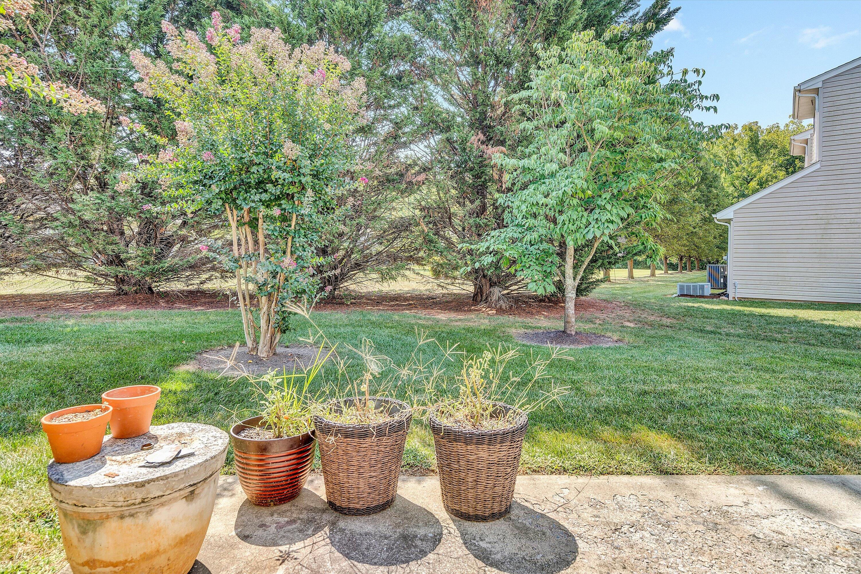 8614 Little Hoop Road Roanoke, VA 24019 - Photo 18 of 22 20-DSC08729