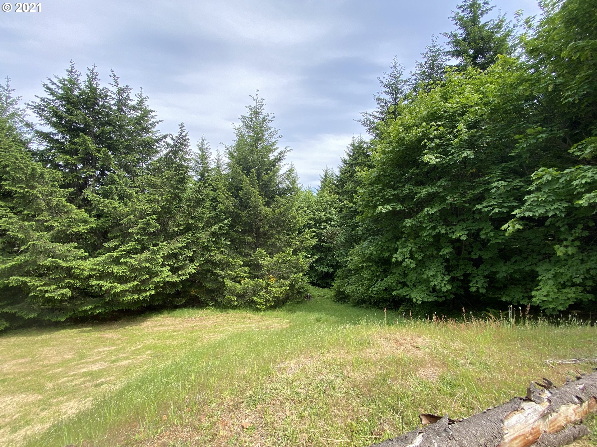 928 Southwest Stepien Road Gaston, OR 97119 - Photo 27 of 28 Gallery Image 27