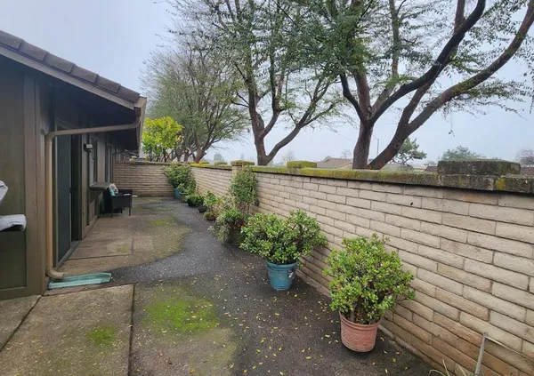 a view of a garden with pathway