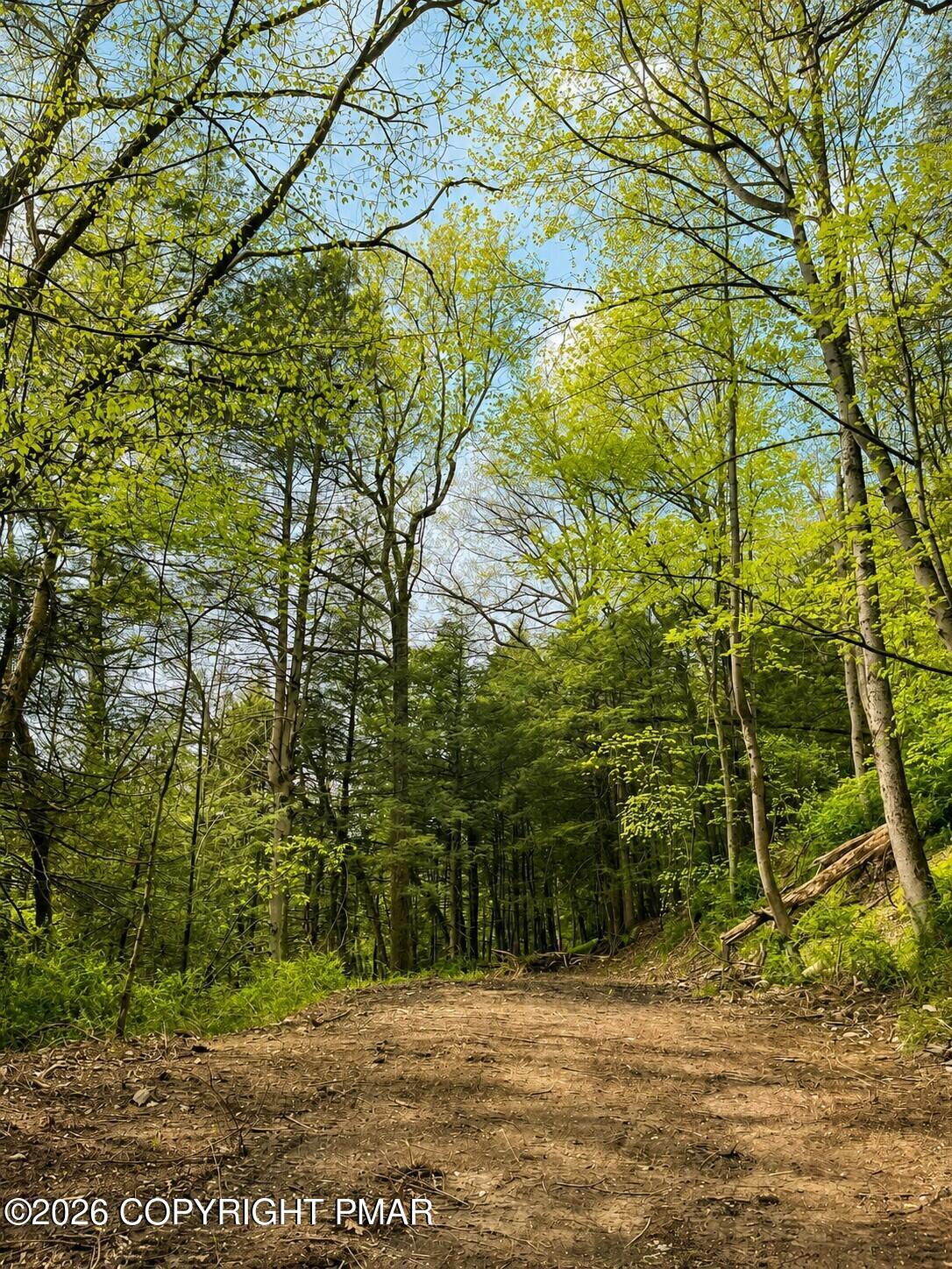 45052 Lower Smith Gap Road Kunkletown, PA 18058 - Photo 2 of 13 a view of a yard with plants and trees