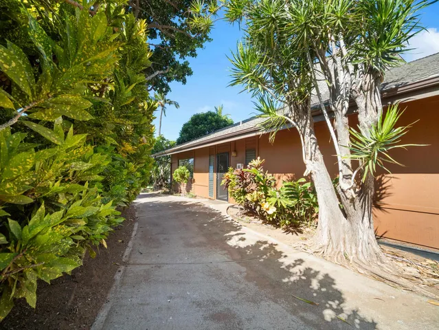 a couple of flower plants in front of door