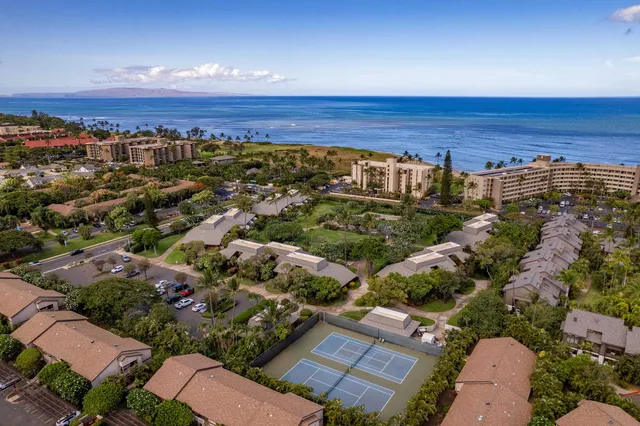 a view of a park with palm trees