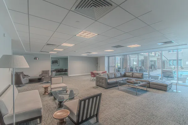 a room with a potted plant