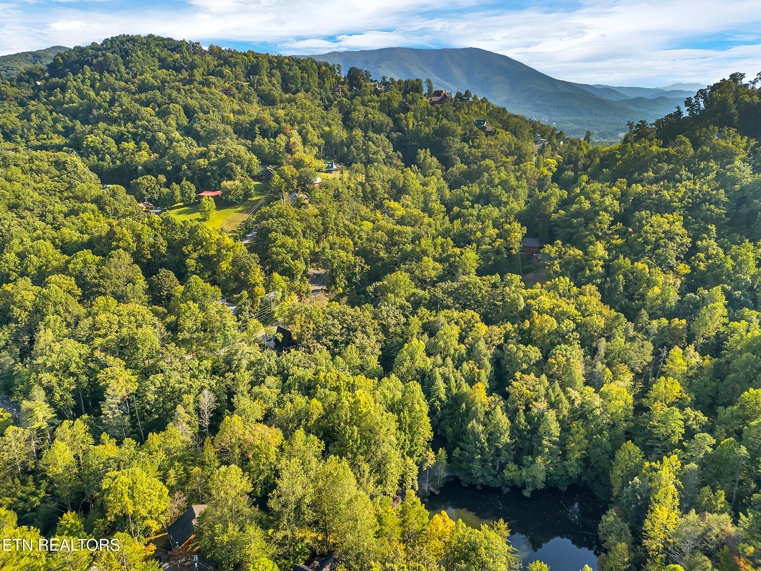 3017 Walters Way Sevierville, TN 37862 - Photo 43 of 52 44_07