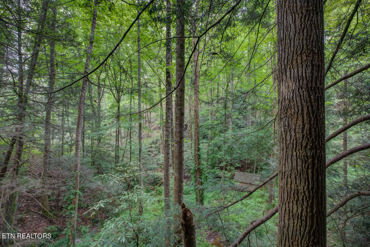 3017 Walters Way Sevierville, TN 37862 - Photo 52 of 52 _X3A8179_80_81_82_83_84_85