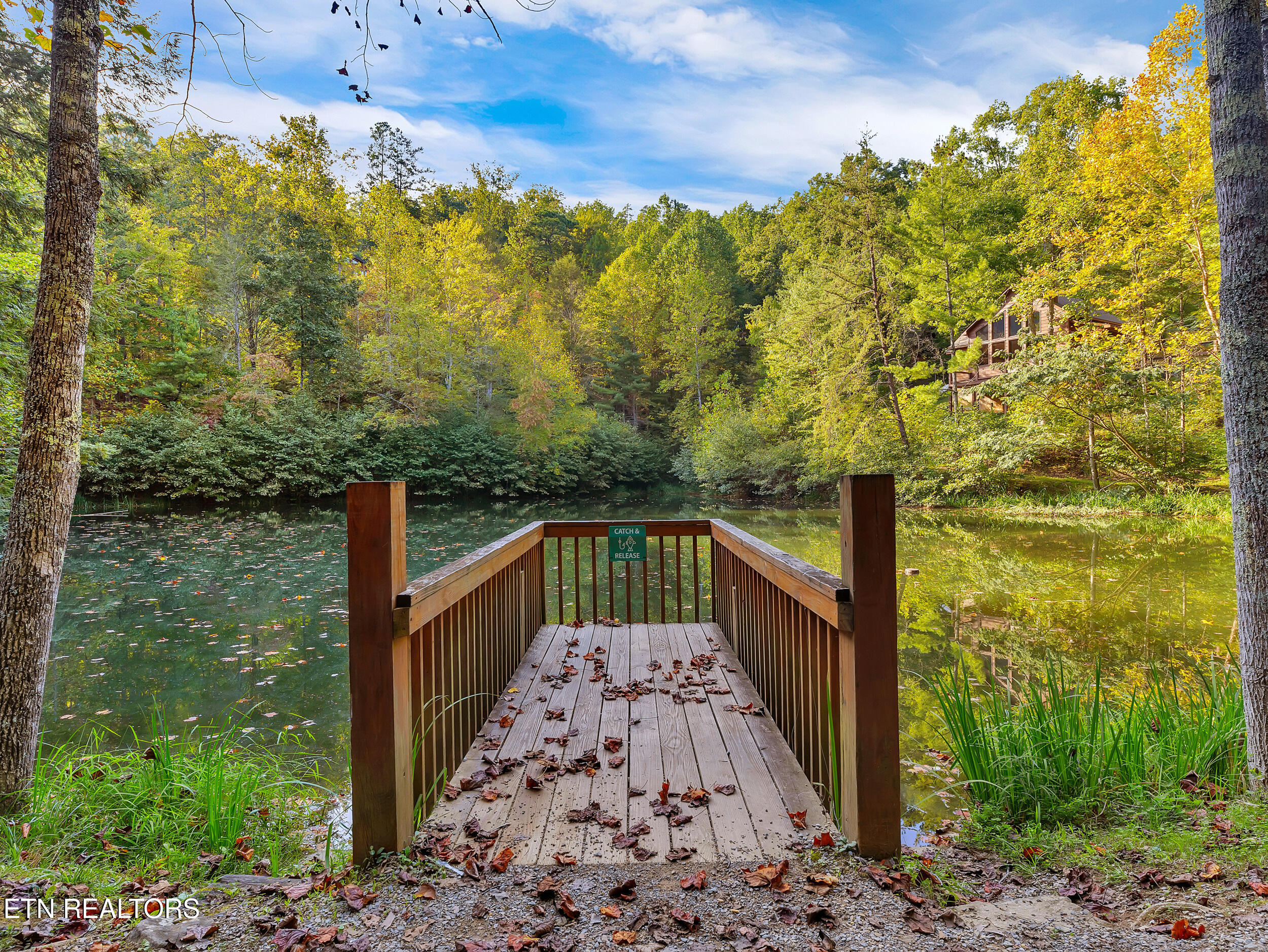 3017 Walters Way Sevierville, TN 37862 - Photo 7 of 52 7_14