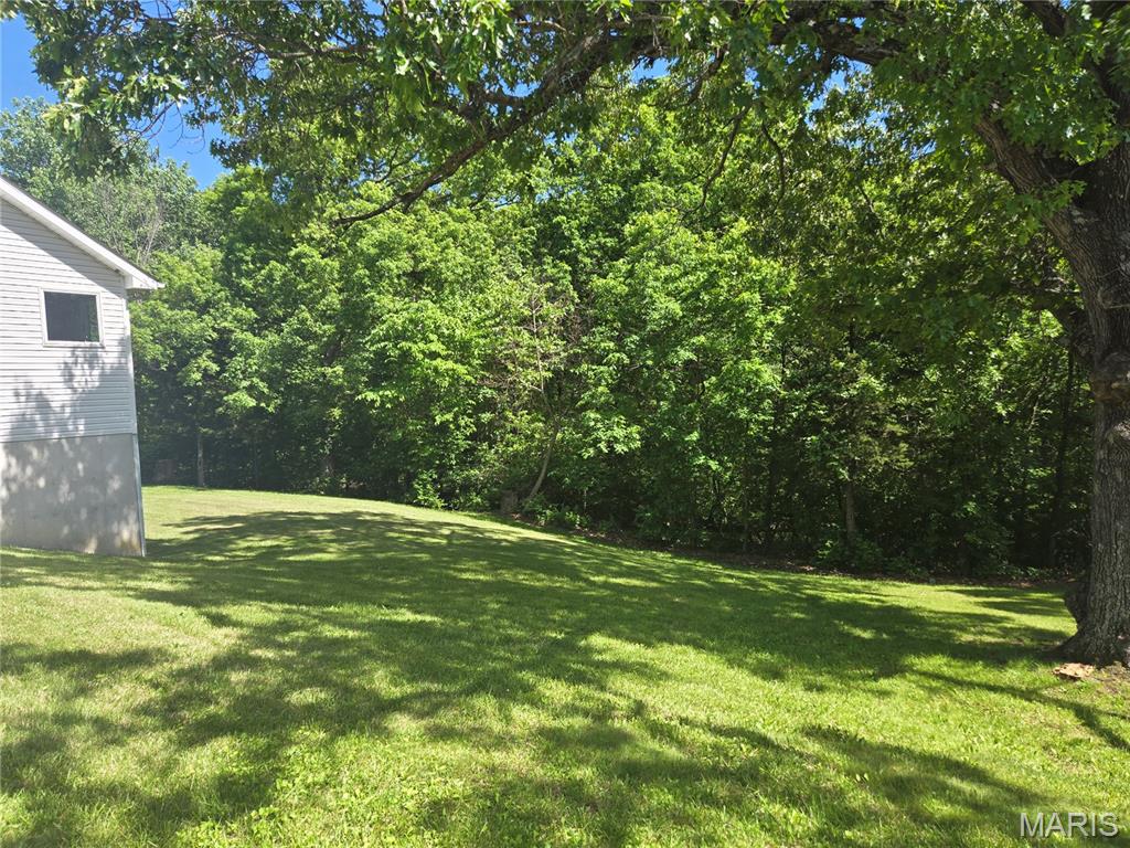 40 Bickel Hollow Road Troy, MO 63379 - Photo 4 of 5