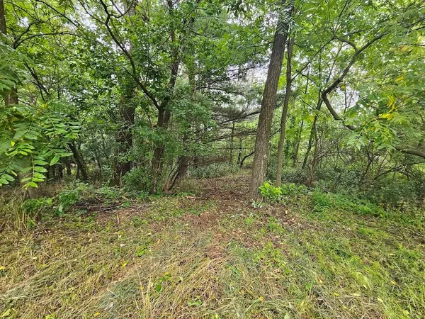 $14,900 | High Road, Unit 40, Wild Rose, WI 54984