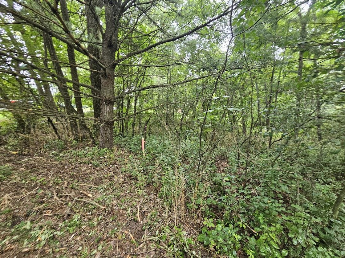 High Road, Unit 40 Wild Rose, WI 54984 - Photo 3 of 7