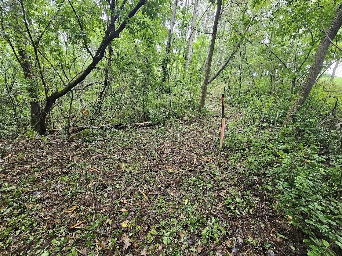 High Road, Unit 40 Wild Rose, WI 54984 - Photo 4 of 7