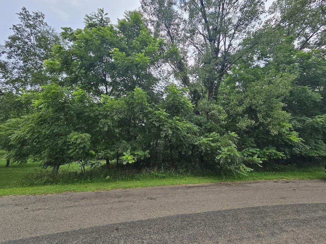 High Road, Unit 40 Wild Rose, WI 54984 - Photo 7 of 7