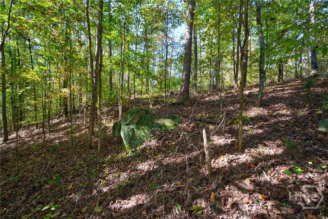 1 Bridges Road Carlton, GA 30627 - Photo 22 of 33