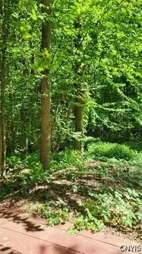 $55,900 | 9470 Oswego Road, Lysander, NY 13135