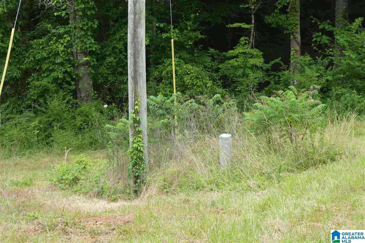 3036 County Road 7 Wedowee, AL 36278 - Photo 12 of 17