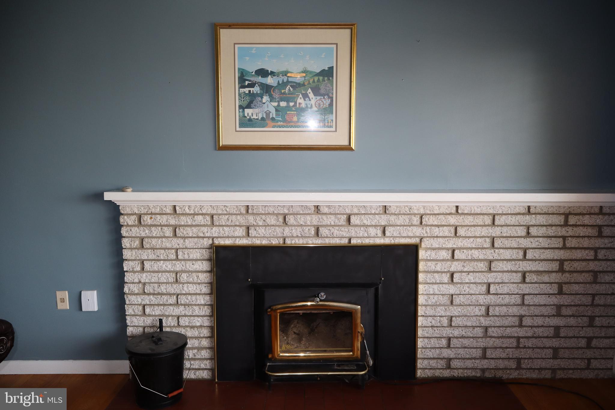 328 Jamestown Road Front Royal, VA 22630 - Photo 11 of 45 Fireplace #1 with wood stove insert