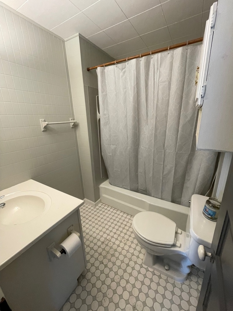 202 Witt Park Road Sidney, IL 61877 - Photo 11 of 49 a bathroom with a sink and a mirror