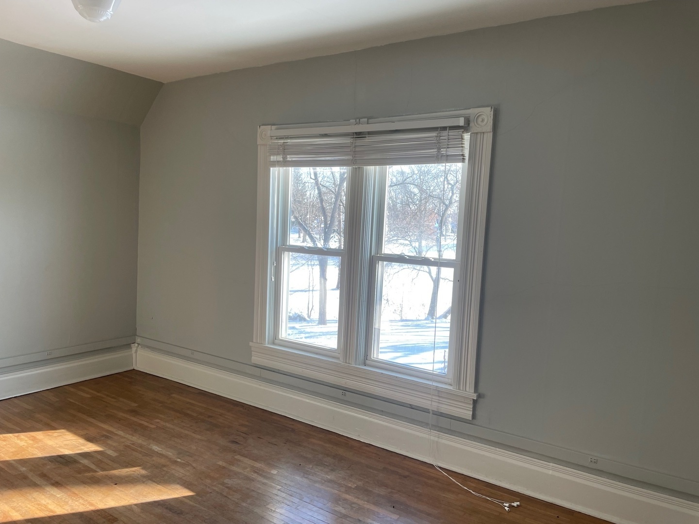 202 Witt Park Road Sidney, IL 61877 - Photo 20 of 49 an empty room with wooden floor and windows