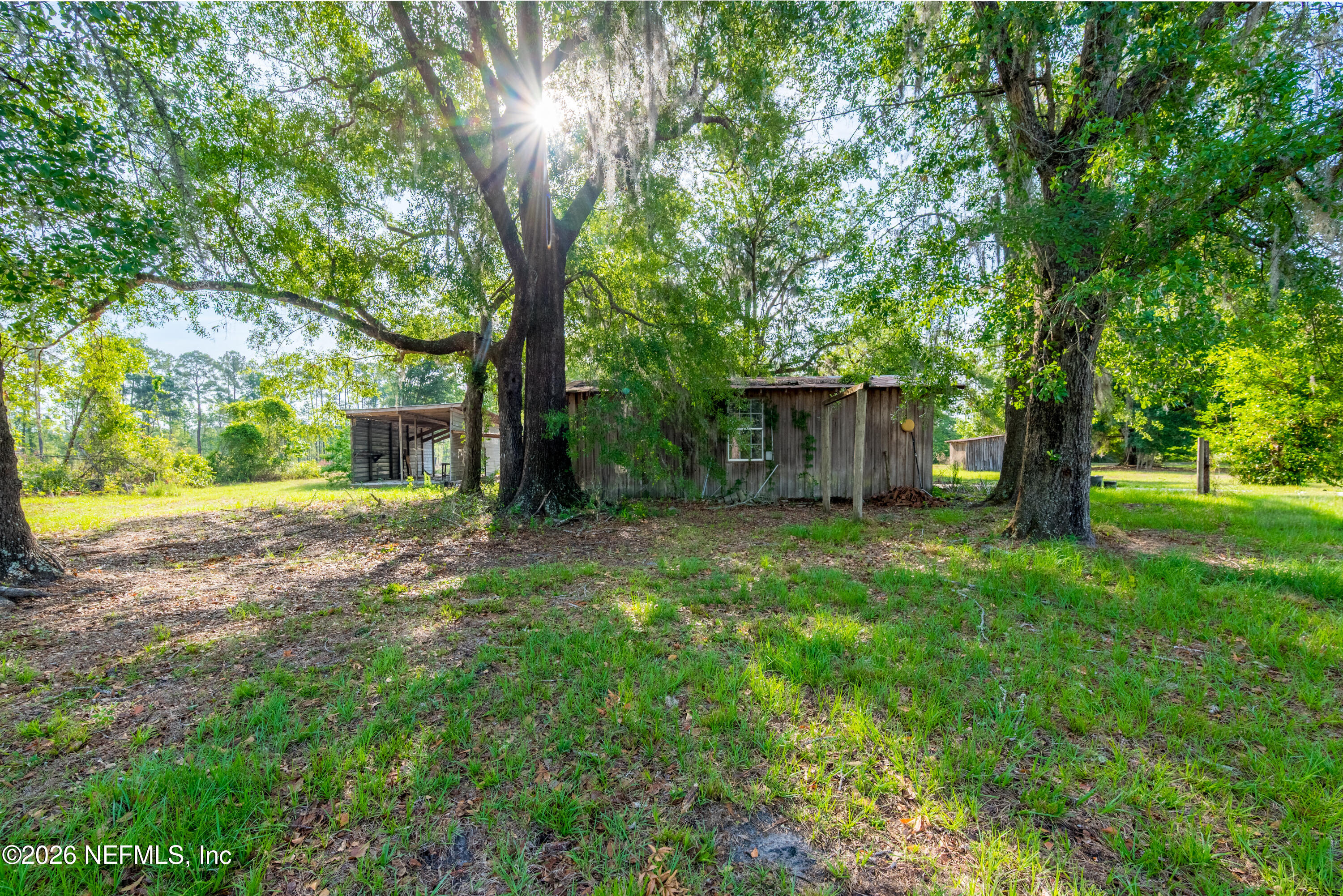 12781 Highway 100 Lake Butler, FL 32054 - Photo 13 of 100 a view of a backyard with large trees and plants