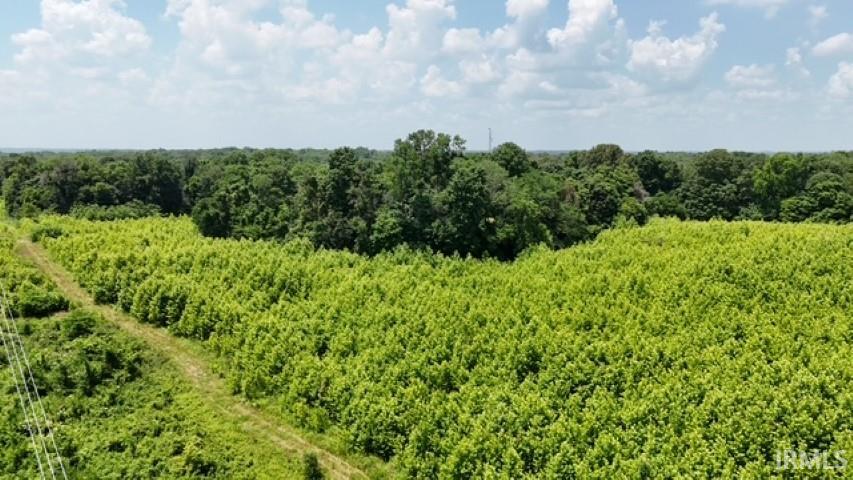 150 N/ 825 Street West Hazleton, IN 47640 - Photo 1 of 6